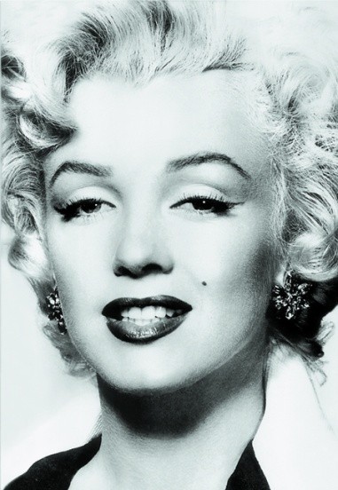 Silver Marilyn - Marilyn Monroe and the Camera