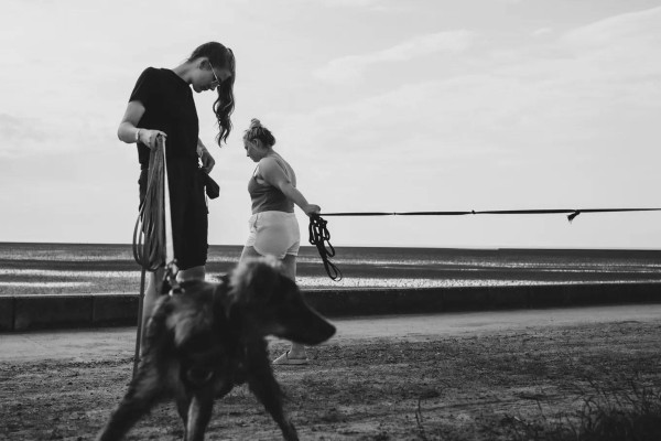 Manfred Baumann "Dogs on a leash, Denmark", 2021