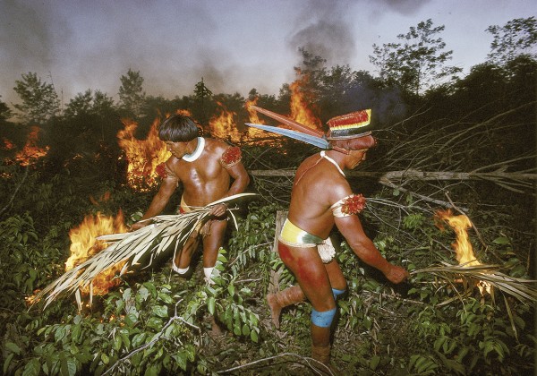 Michael Friedel "The Kuikuru. Forest clearance is done by controlled fire in the dry season"