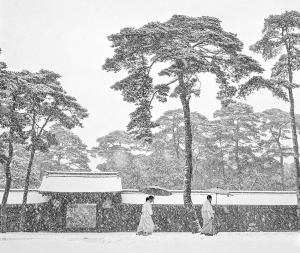 Werner Bischof "Im Innenhof des Meiji Tempel", Tokio, Japan, 1951