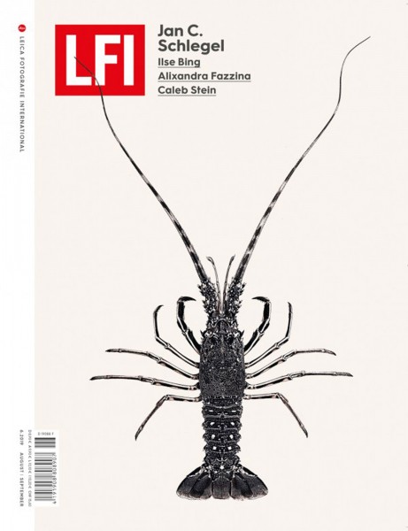 LFI Issue 6 | 2019 EN